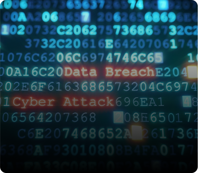 NGS red teaming service